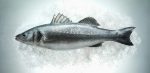 Mediterranean Sea Bass Branzino, Fillet, 8-10