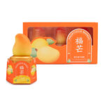 Mango Ice cream 24 pack